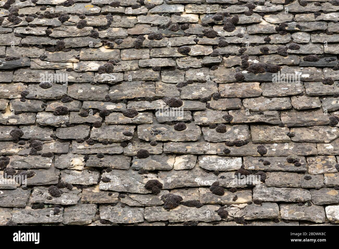 Old-Fashioned roof tiles in the village of Stanton in the Cotswolds, England Stock Photo