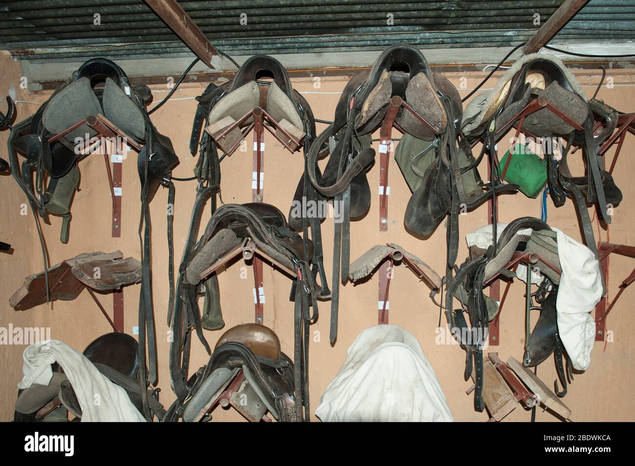 Stable and horseriding equipment, saddles and stirrups, in stables, Ant's Hill Reserve, near Vaalwater, Limpopo province, South Africa Stock Photo