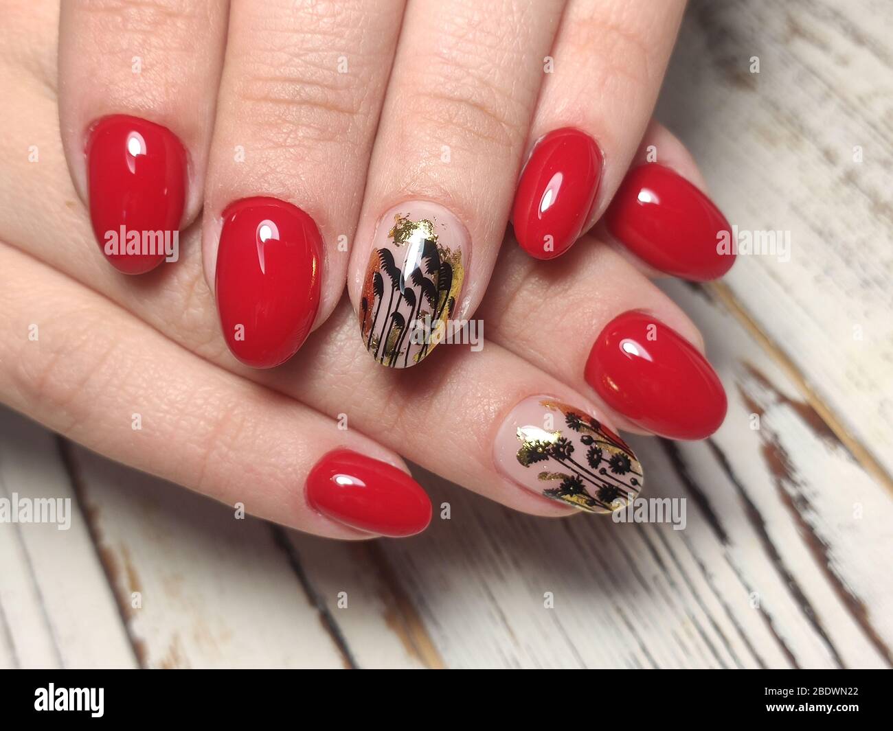 Closeup photo of a beautiful female hands with elegant manicure and ...