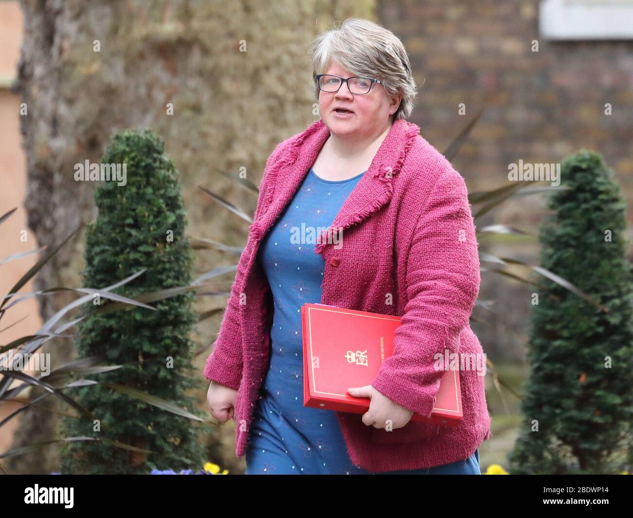 Work and Pensions Secretary Therese Coffey arriving for the weekly Cabinet Meeting at Downing Street, London, UK Stock Photo