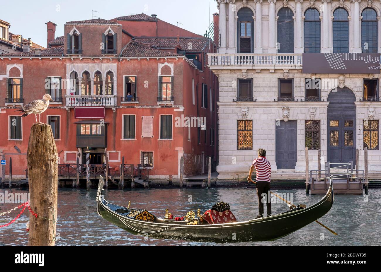 A gondola sails on the Grand Canal near the Hotel San Cassiano and the Prada  Foundation, Ca' Corner della Regina, Venice, Italy Stock Photo - Alamy