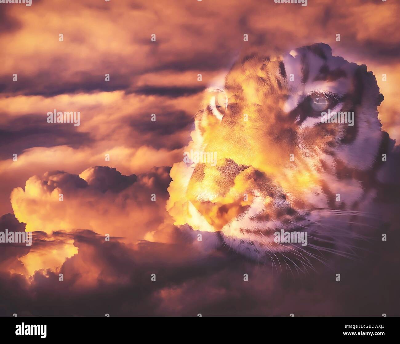 Double exposure wildlife hi-res stock photography and images - Alamy