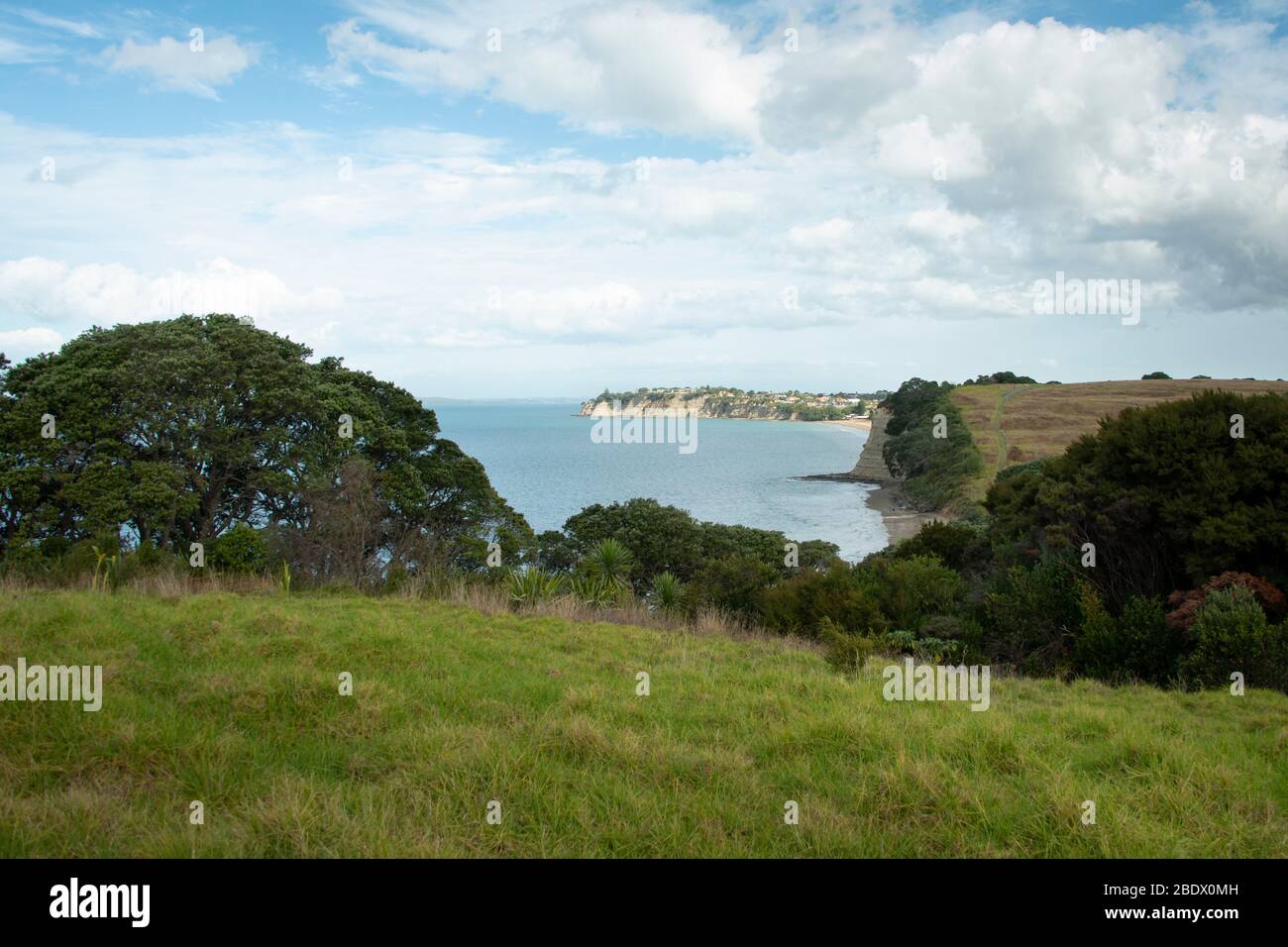 Panoramic view from Long Bay coastal walk Stock Photo