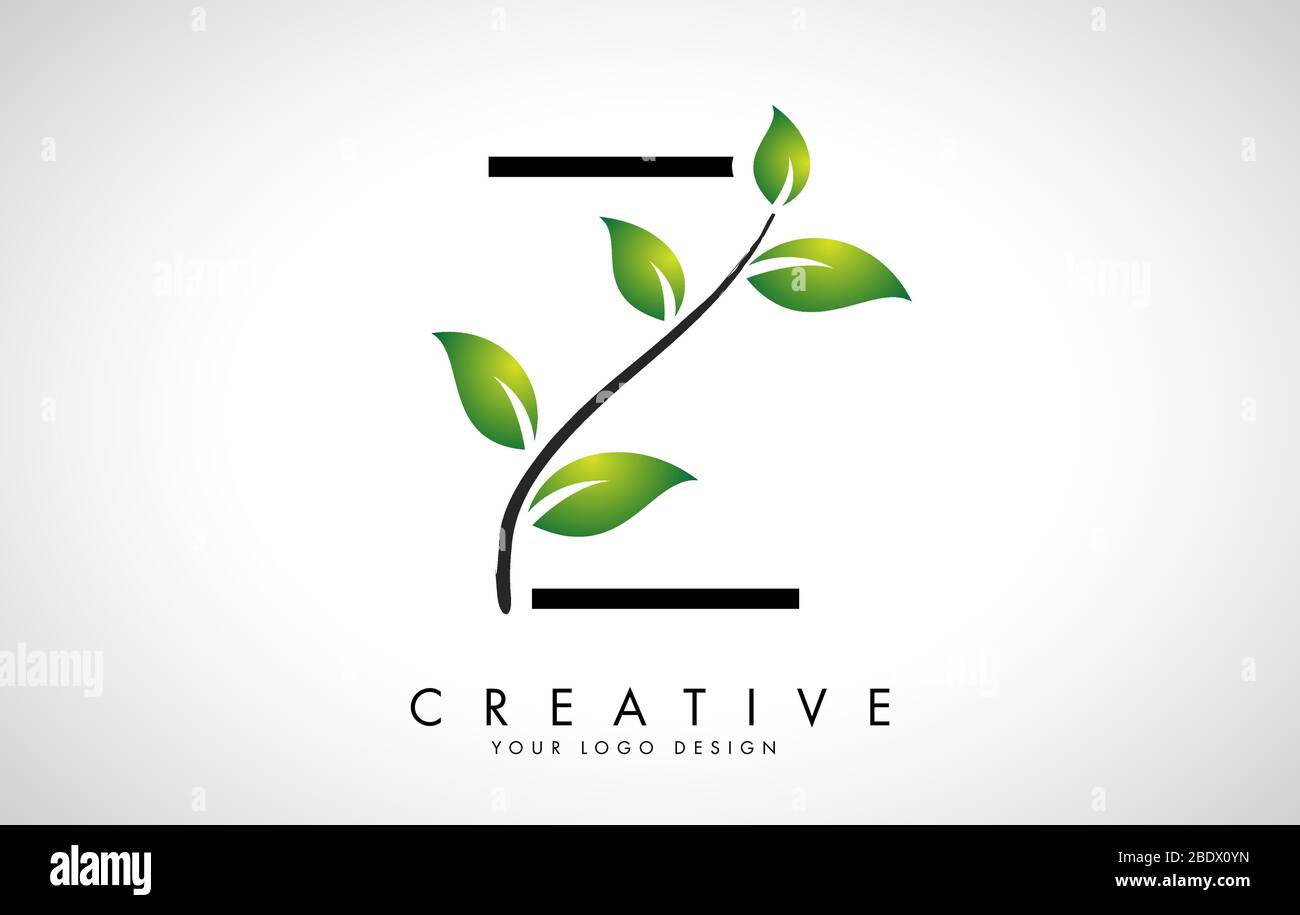 Leaf Letter Z Logo Design with Green Leaves on a Branch. Letter Z with ...