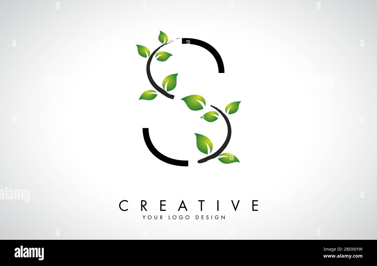 Leaf Letter S Logo Design with Green Leaves on a Branch. Letter S with ...