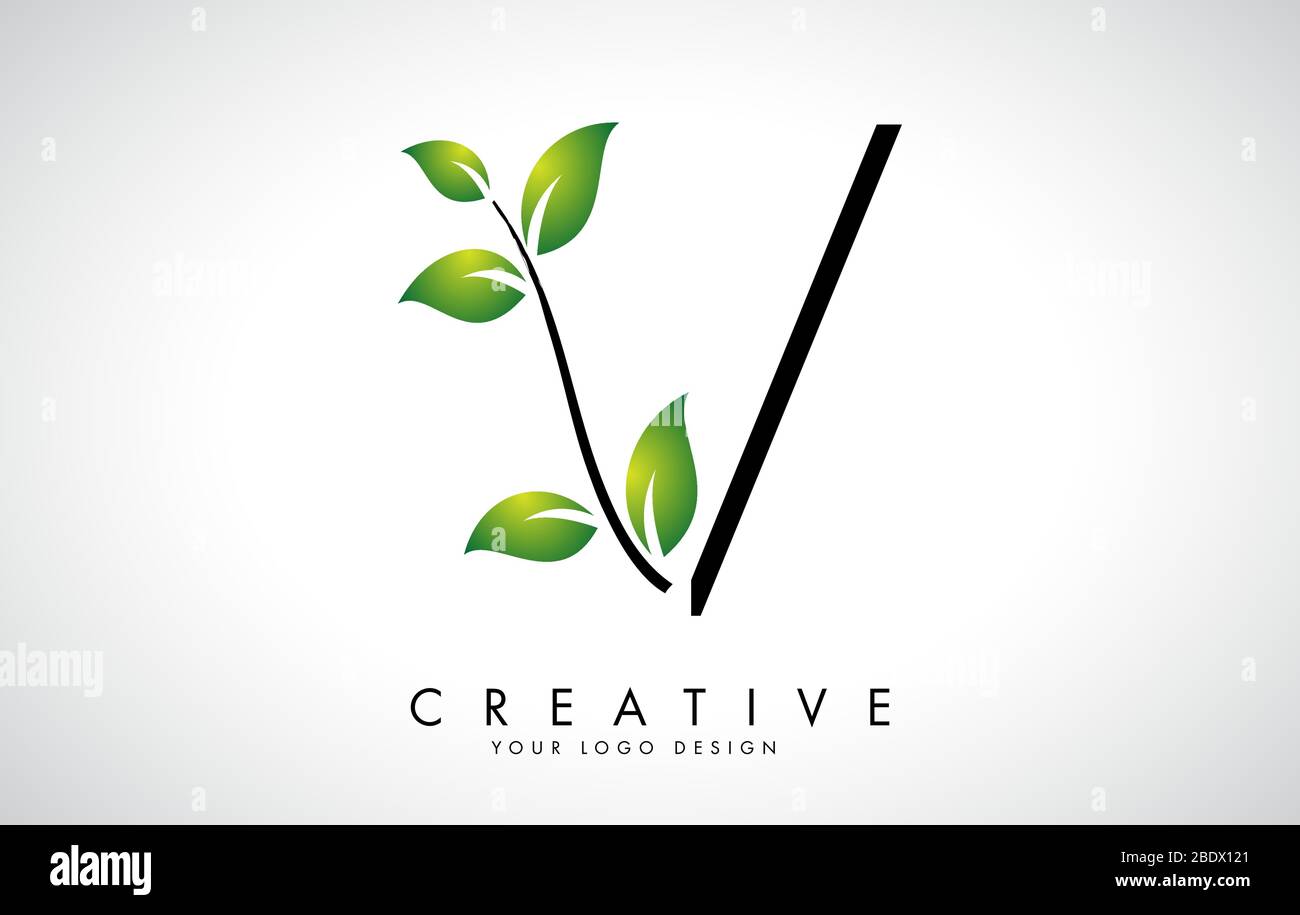 Leaf Letter V Logo Design with Green Leaves on a Branch. Letter V with ...