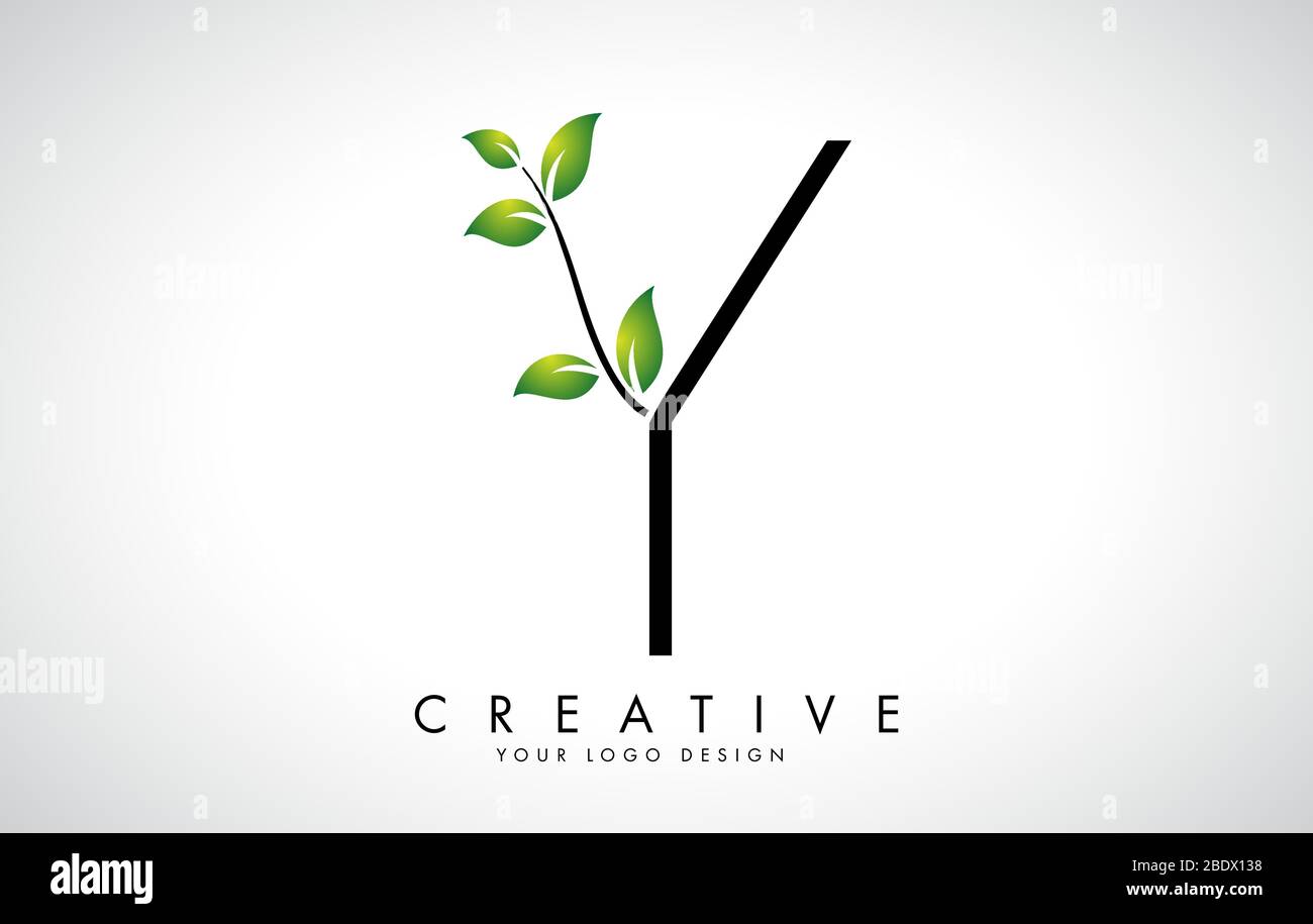 Leaf Letter Y Logo Design with Green Leaves on a Branch. Letter Y with ...