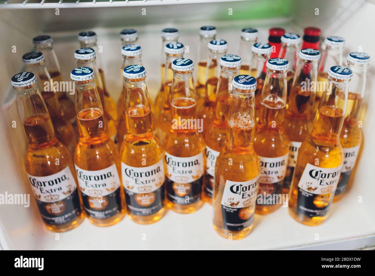 Ufa, Russia - December 19, 2019: Corona extra beer bottles on shelves in a supermarket. Corona Extra is a pale lager produced by Cervecer a Modelo in Stock Photo
