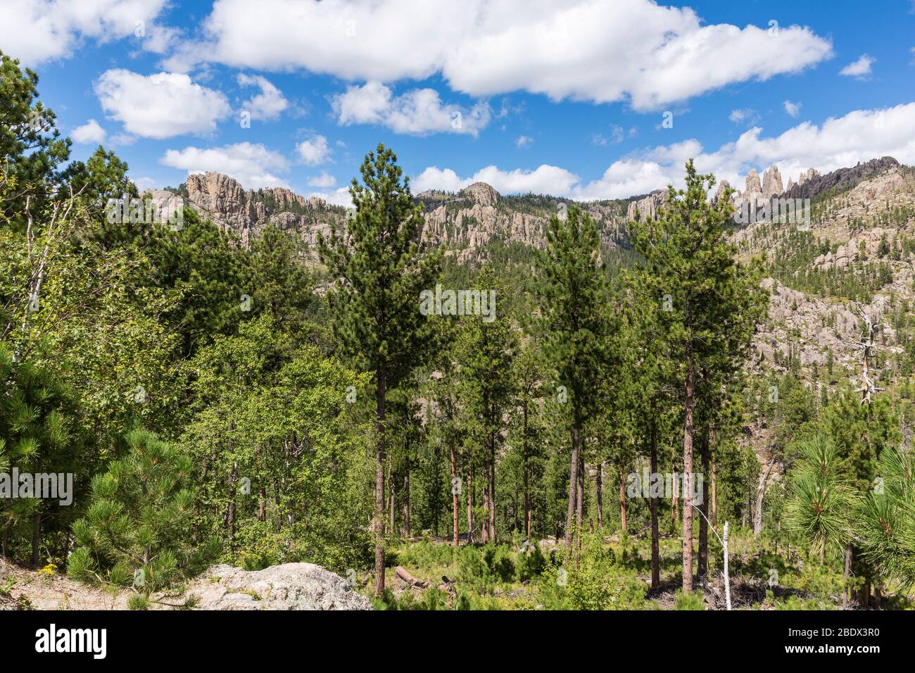 Black Hills Scenic Landscape Stock Photo