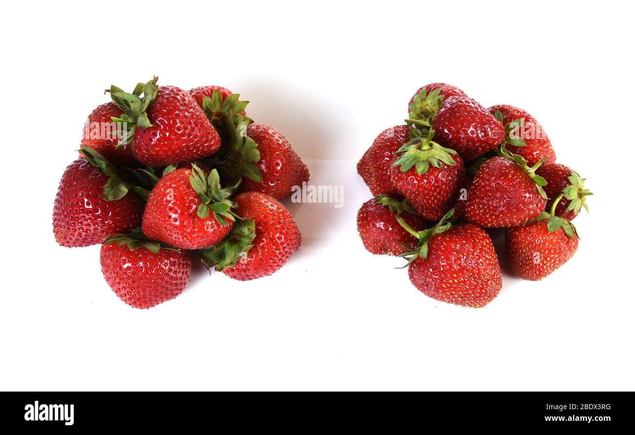 Strawberries Becoming Moldy, 1 of 4 Stock Photo