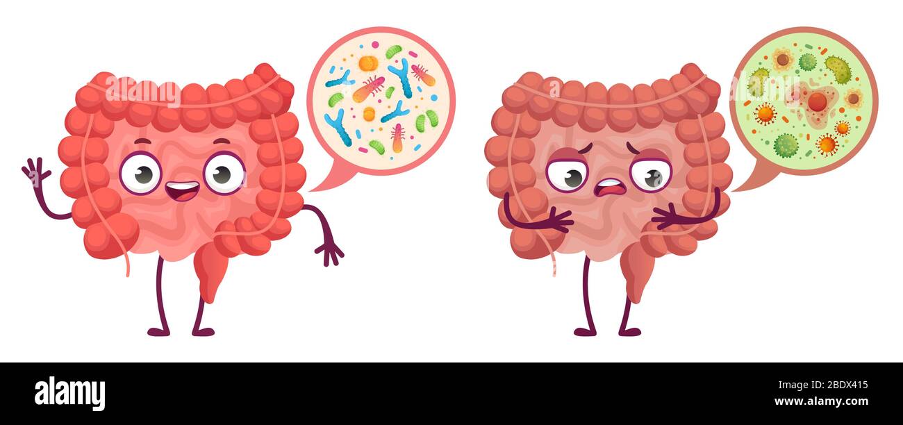 Intestinal microflora. Digestive system care, intestinal bacterias and probiotics cartoon vector illustration Stock Vector