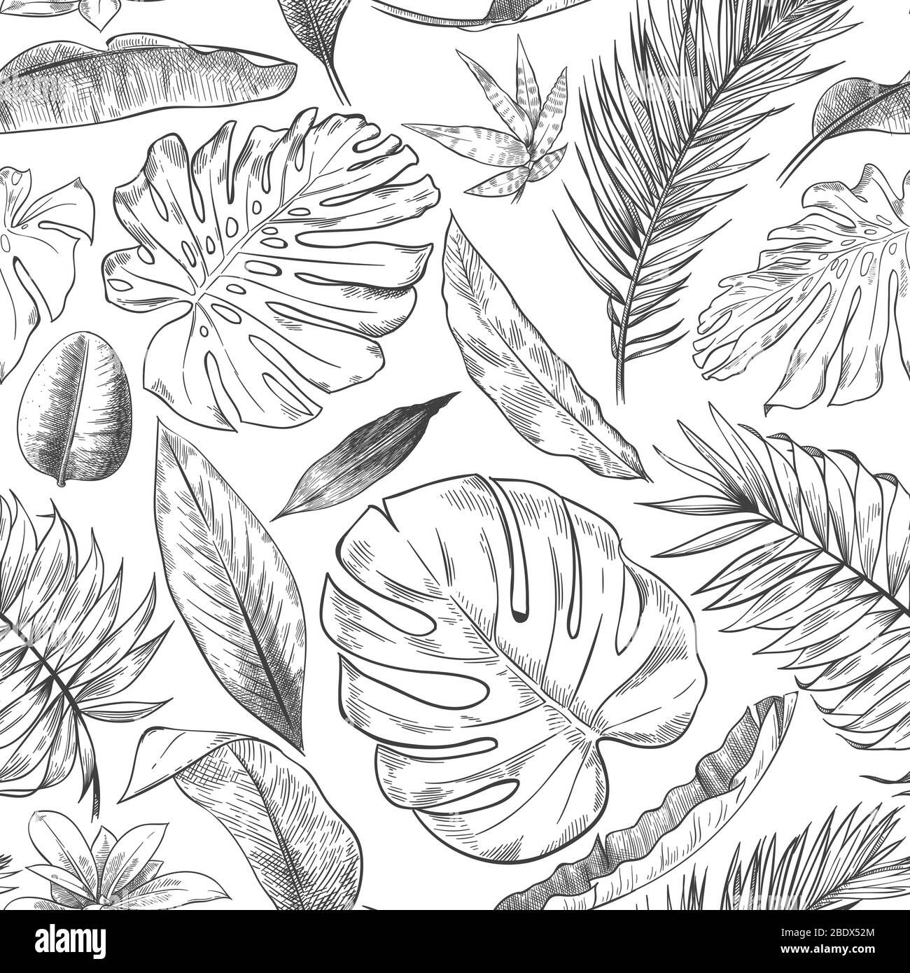 Hand drawn tropical leaves pattern. Sketch drawing palm branch, monstera leaf and exotic forest plants leaf seamless vector background illustration Stock Vector