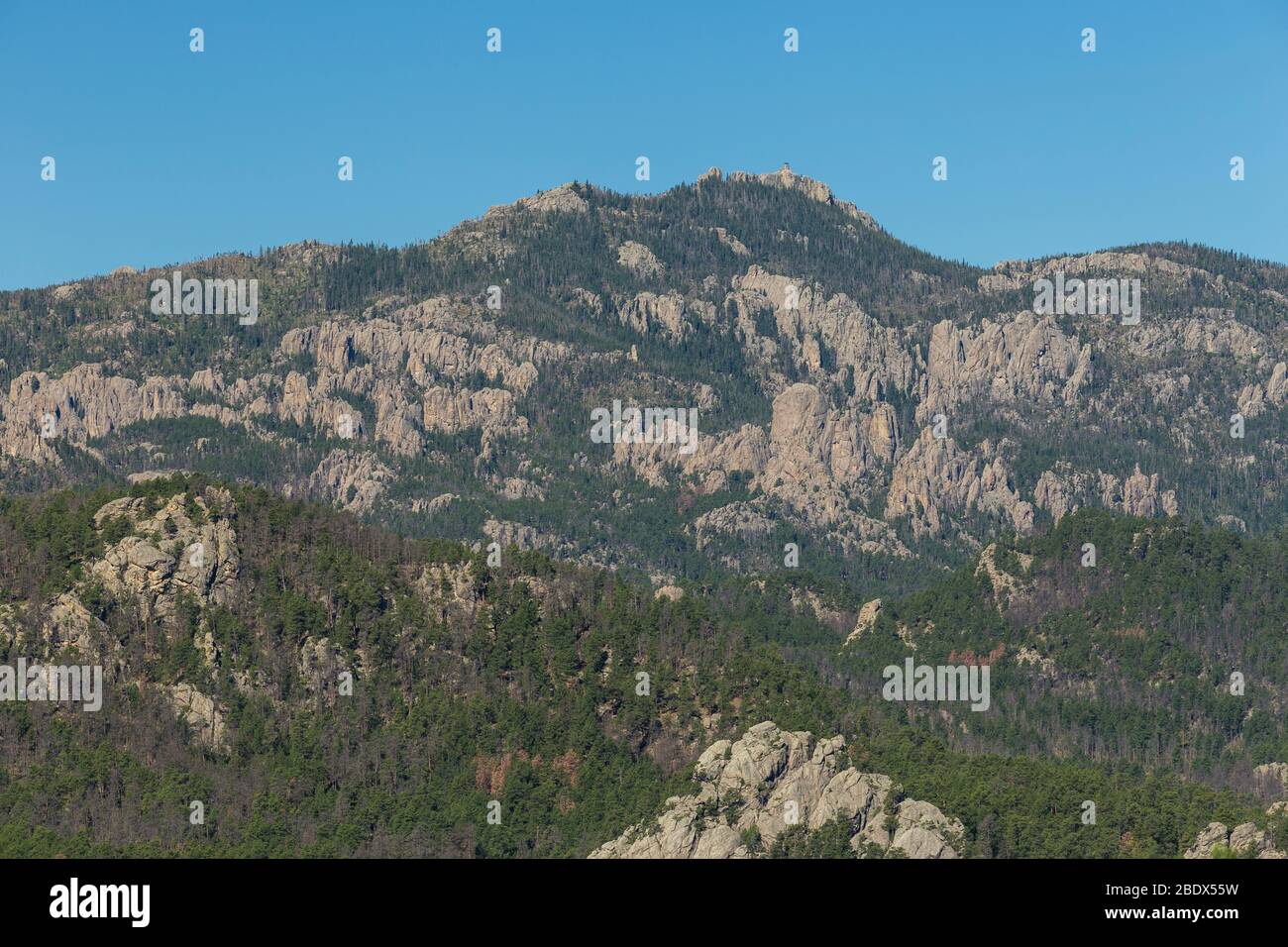 Black Hills Scenic Landscape Stock Photo
