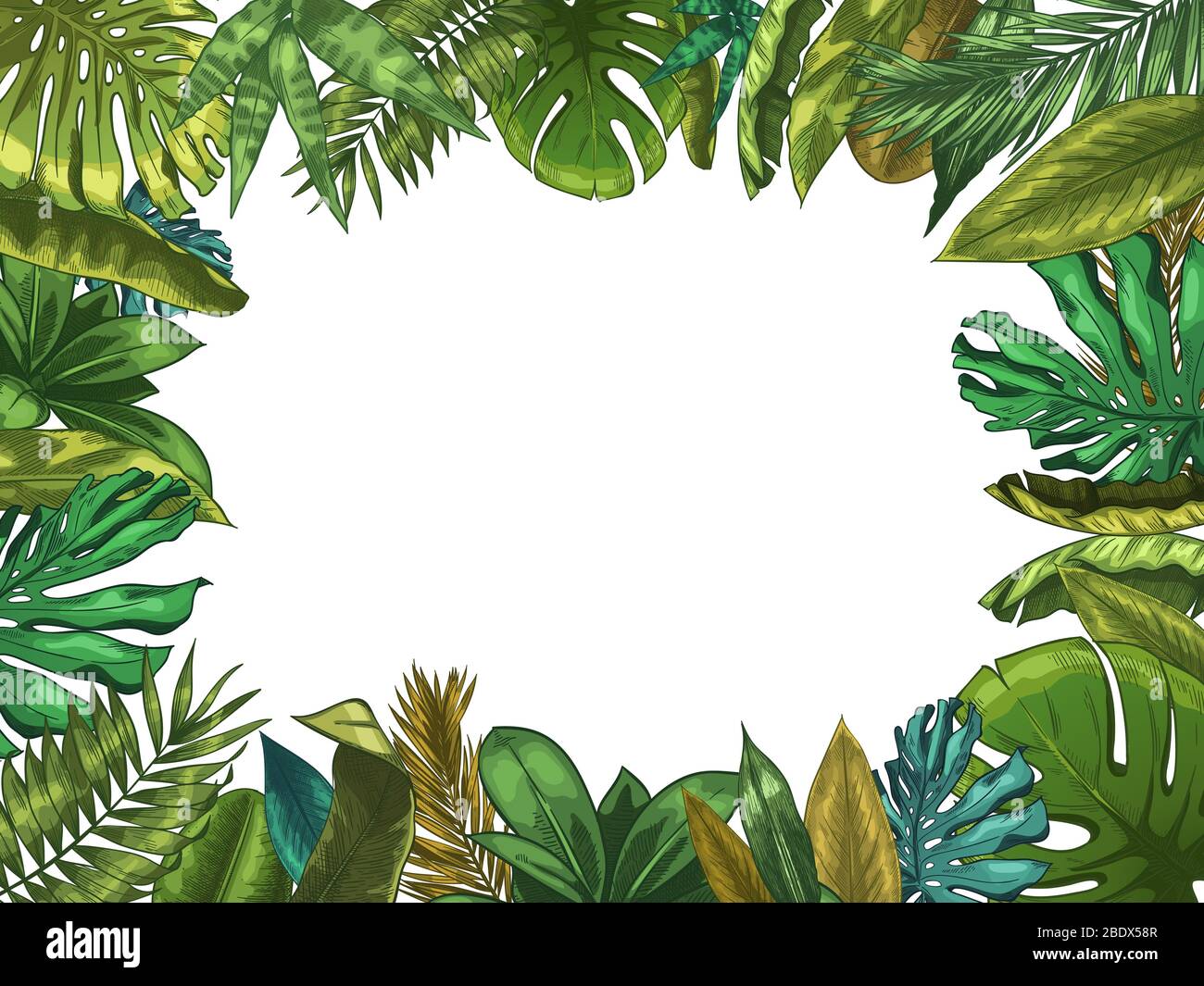 Green tropical leaves frame. Nature leaf border, summer vacation and jungle plants. Monstera and exotic palm tree leafs vector illustration Stock Vector