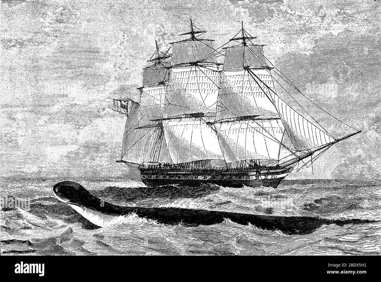 HMS Daedalus Sea Serpent, 1848 Stock Photo