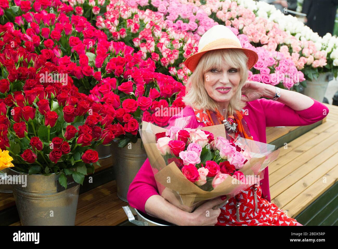 Actress, author, activist and presenter Joanna Lumley shows off some roses at the Chelsea Flower Show.Famously know for Absolutely Fabulous and others. Stock Photo