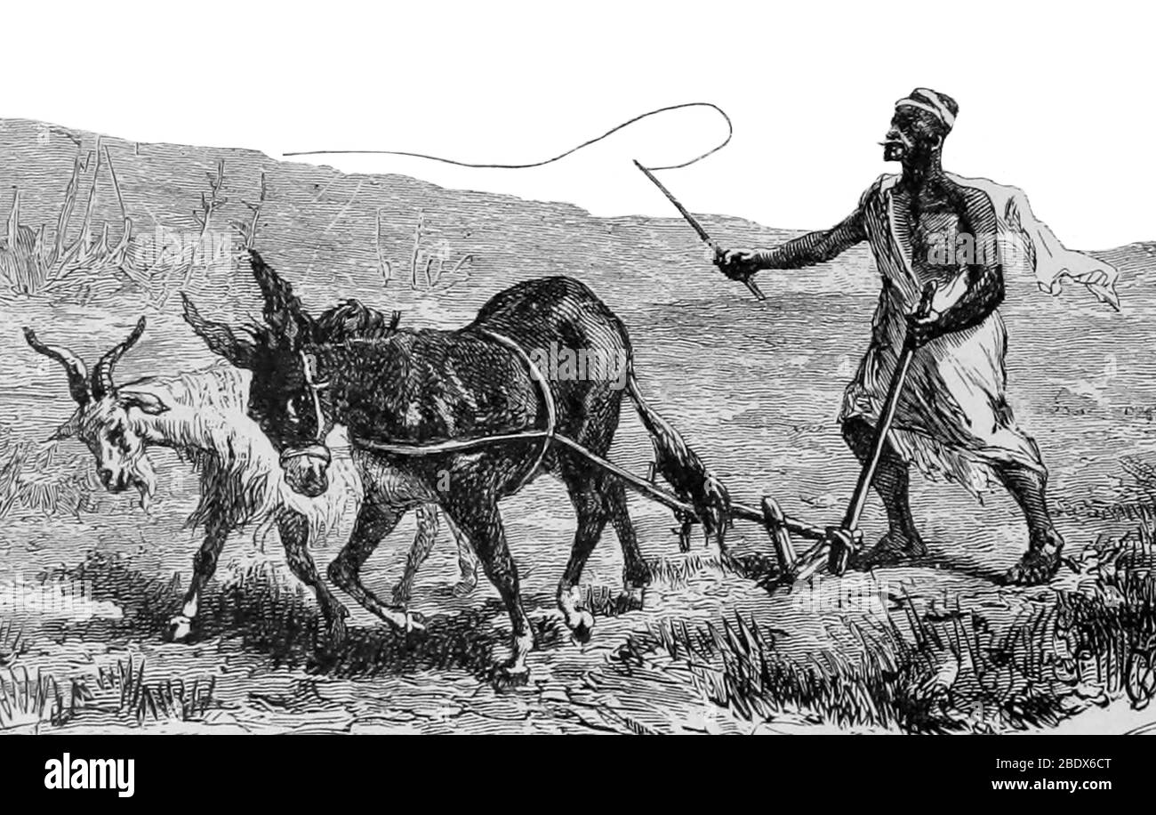 Plowman hires stock photography and images Alamy