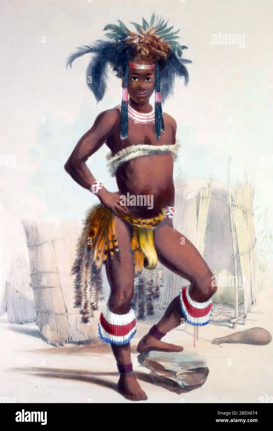 South Africa, Zulu Warrior Dance Costume, 1840s Stock Photo