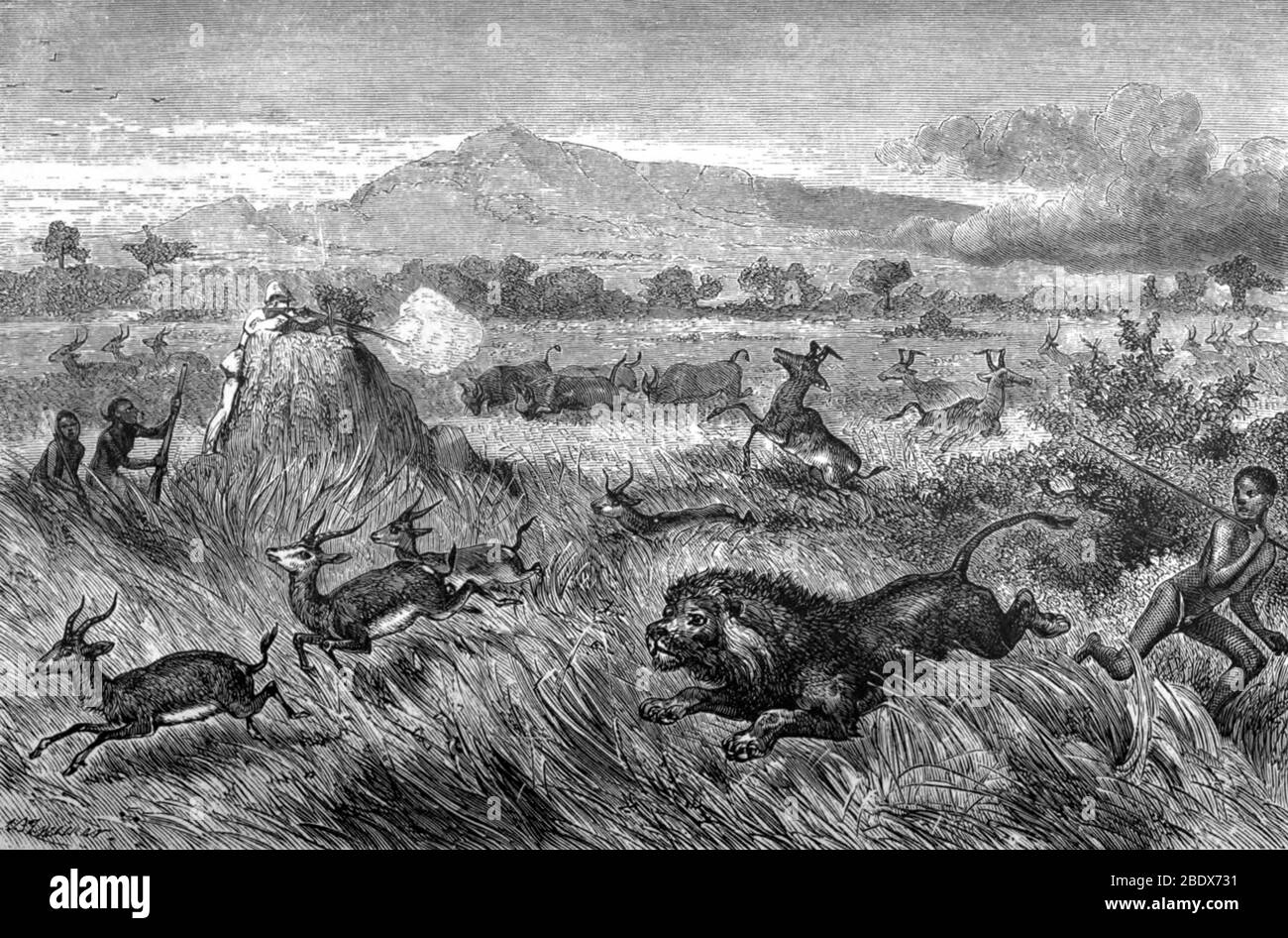 Africa, Samuel Baker Big Game Hunting, 19th Century Stock Photo