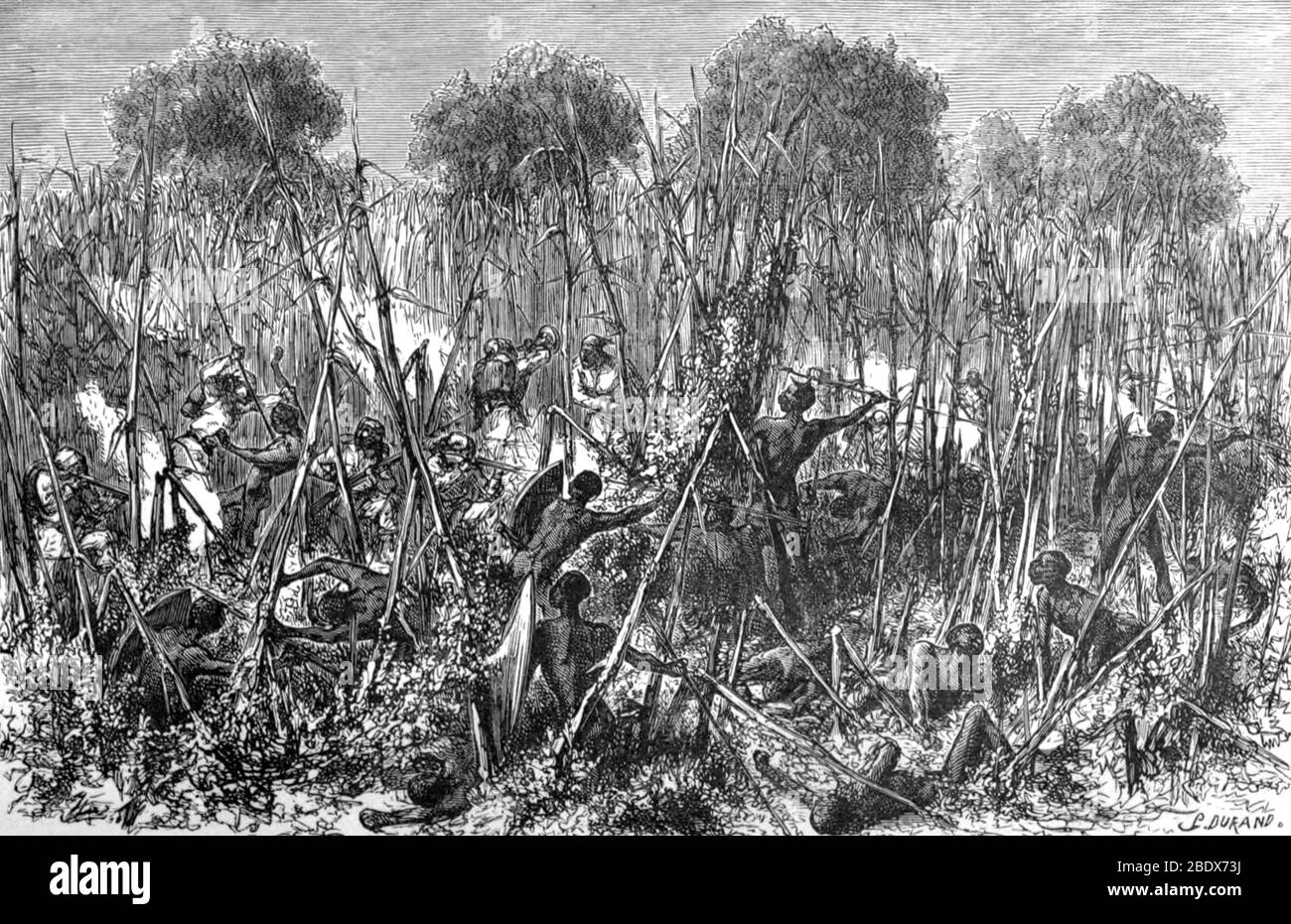 Ambush of the Samuel Baker Military Expedition, 19th Century Stock Photo