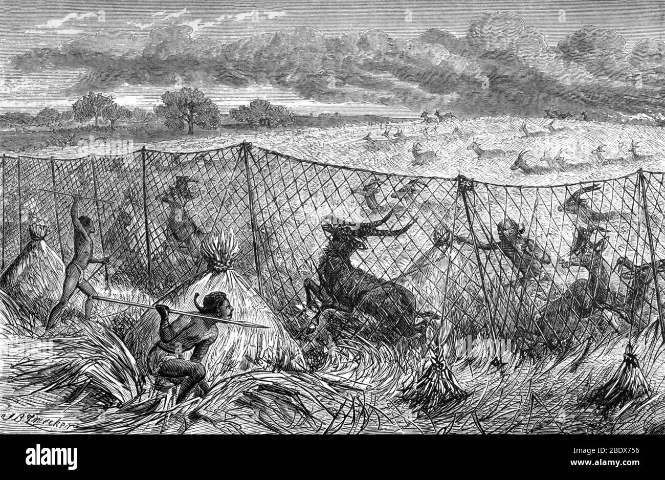 Acholi Net Hunting, 19th Century Stock Photo