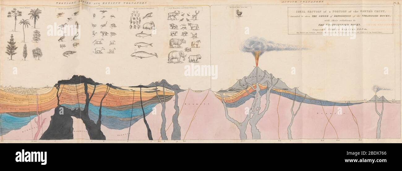 William Buckland, Geological Cross-Section, 1836 Stock Photo