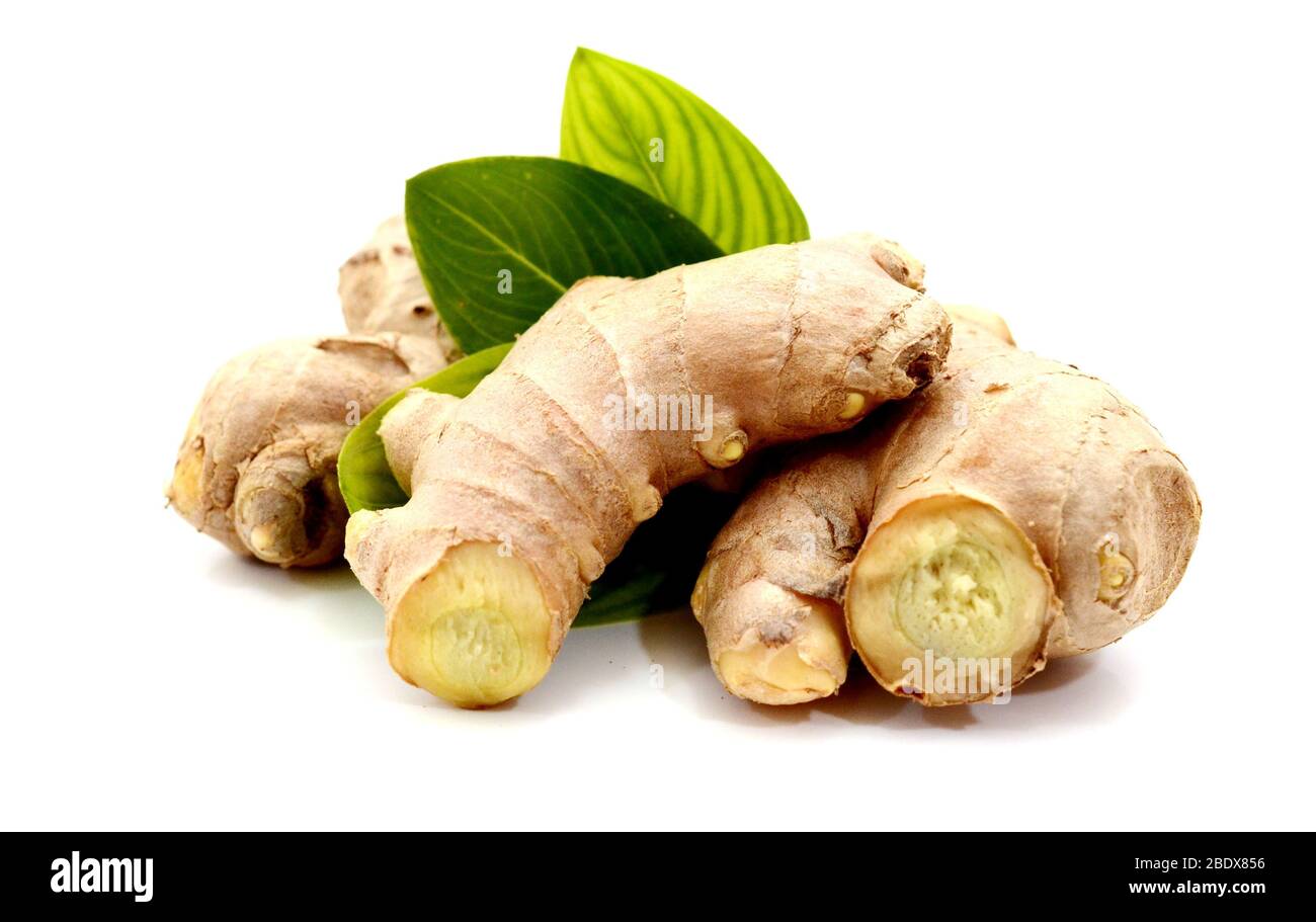 Fresh ginger isolated on white background Stock Photo