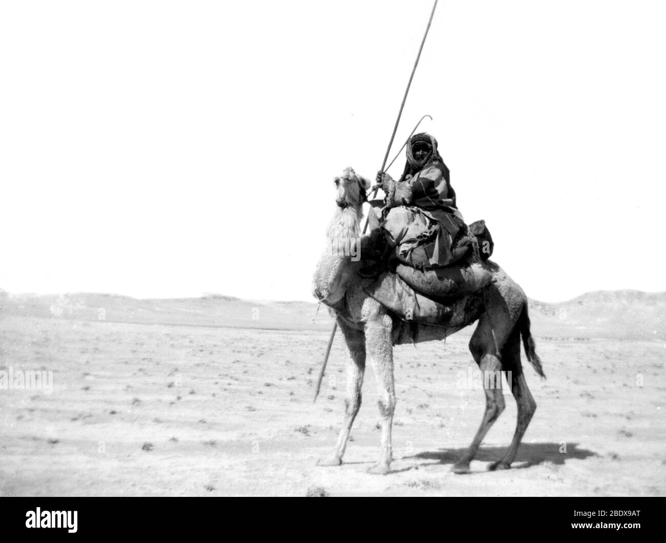 Bedouin Warrior, 20th Century Stock Photo