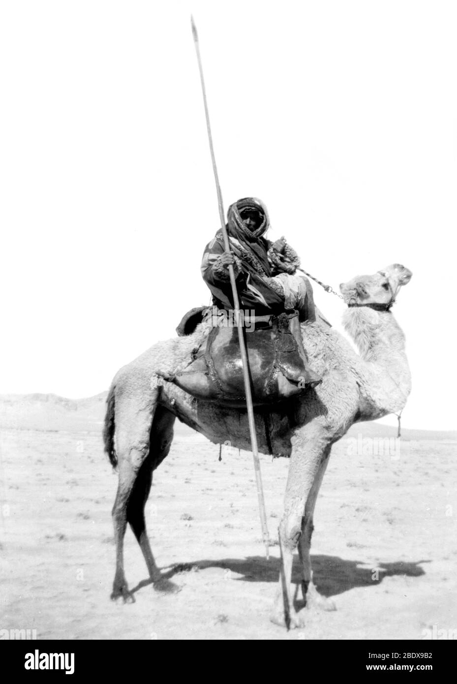 Bedouin Spearman, 20th Century Stock Photo
