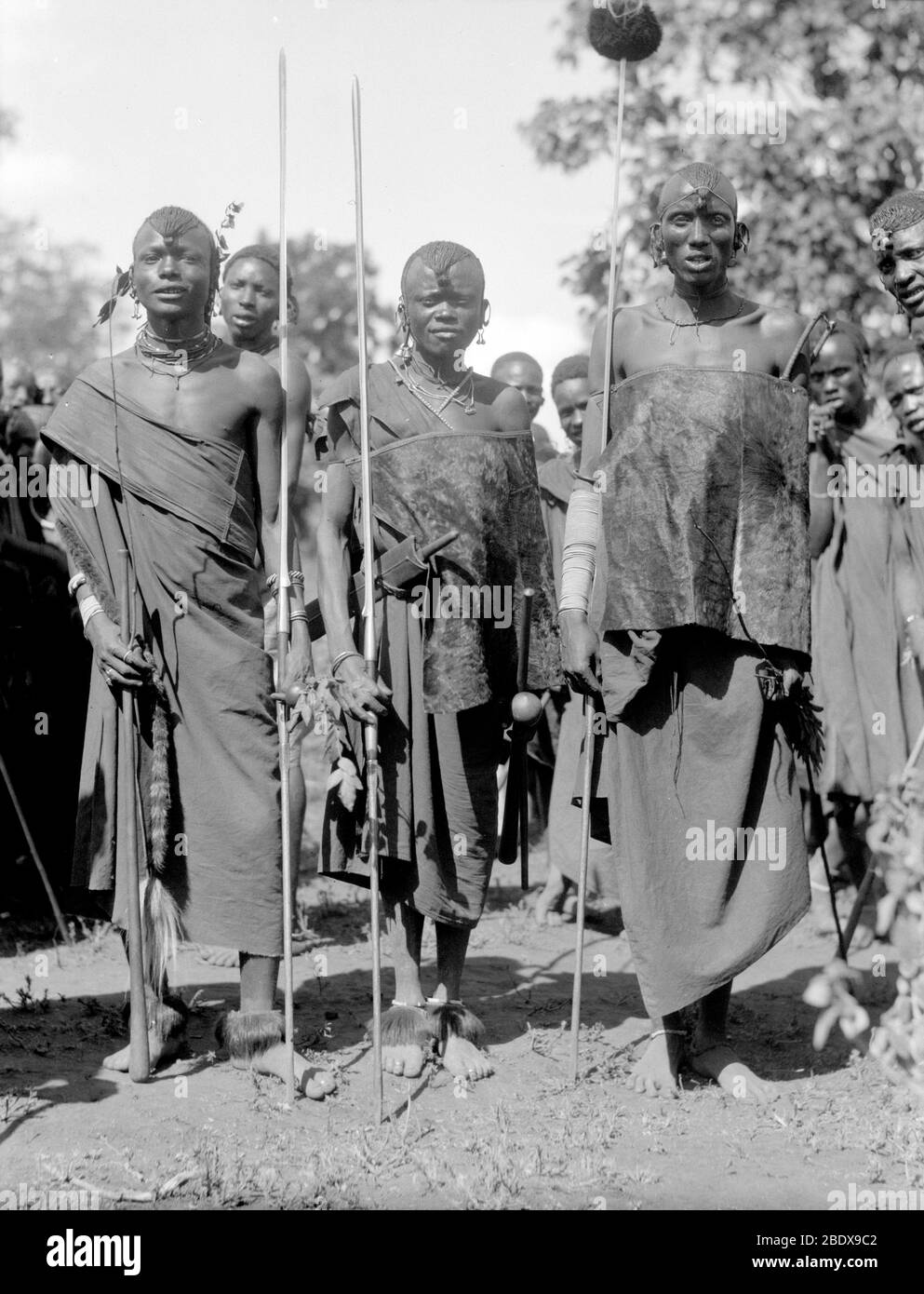 East Africa, Maasai Warriors, 1936 Stock Photo