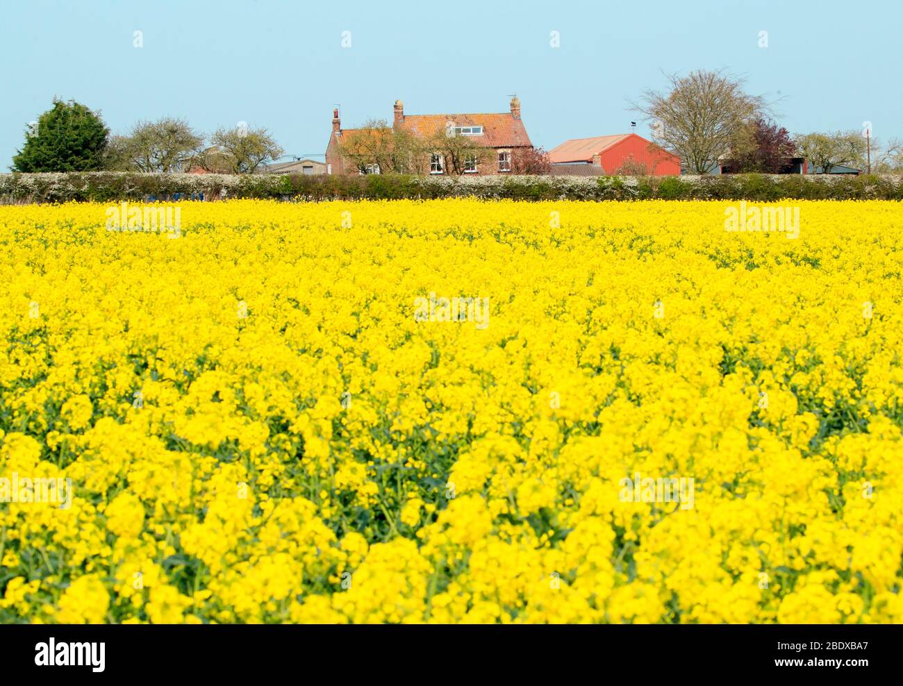 Barton le willows hires stock photography and images Alamy