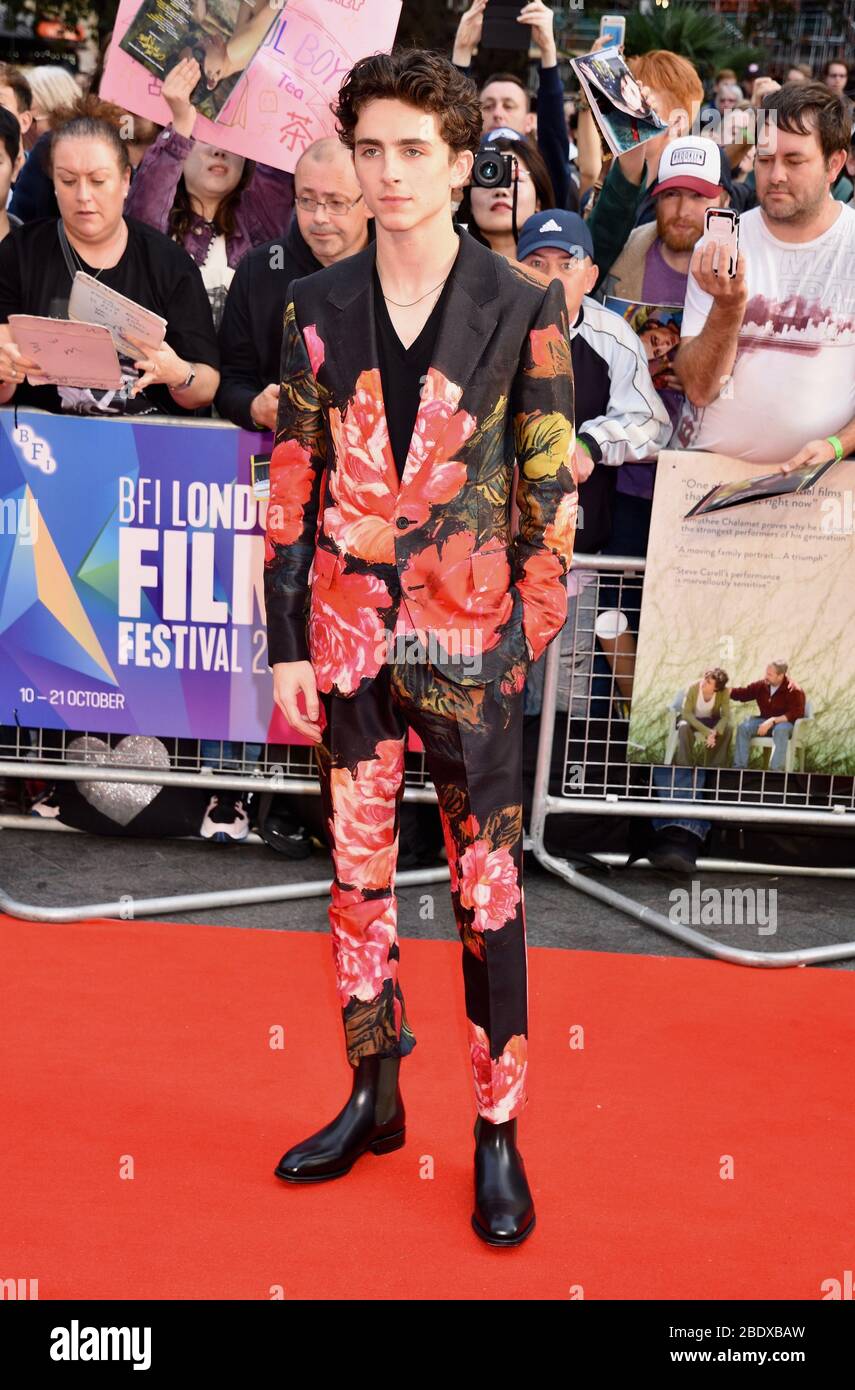 Timothee Chalamet,  'Beautiful Boy' - European Premiere,  BFI London Film Festival, Leicester Square,  London. UK Stock Photo