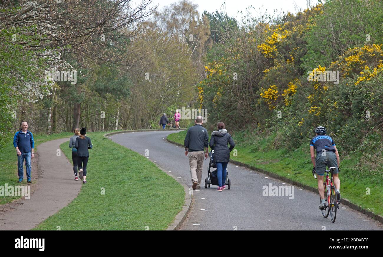 Fairly busy Holyrood Park, Edinburgh, Scotland, UK. 10th April 2020. Pictured: Families walking cyclists puffing up the sloping road which is actually closed to vehicles because of the annual toad migration and joggers on pavements and roads,. How safe the proximity to pedestrians is when the photographer witnessed one runner and one cyclist spitting on the grass border. Credit: Arch White/ Alamy Live News. Stock Photo