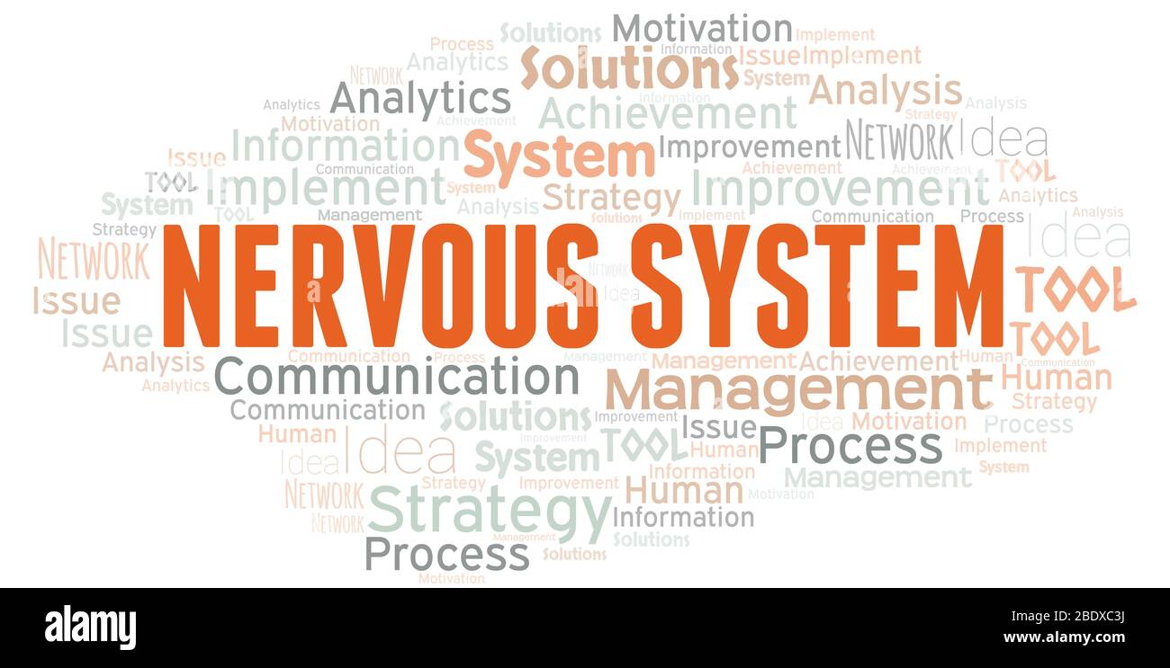 Nervous System typography vector word cloud. Wordcloud collage made