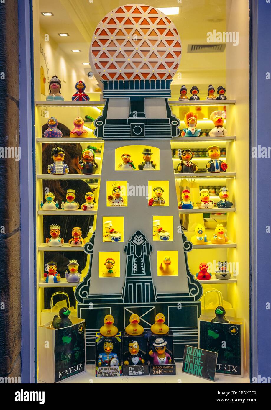 Duck Store in historic part of San Sebastian coastal city located in ...