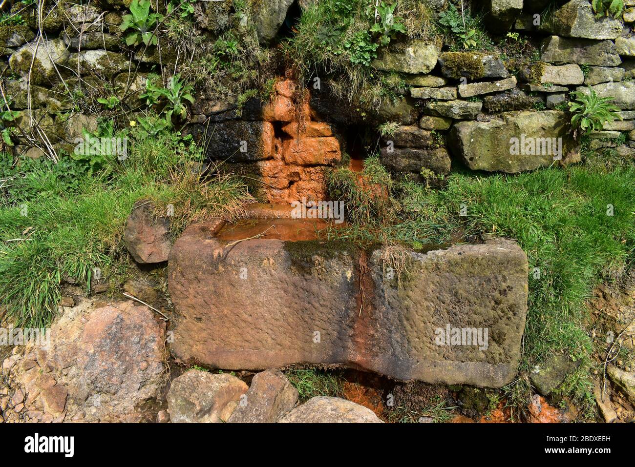 Old stone drinking trough. Stock Photo