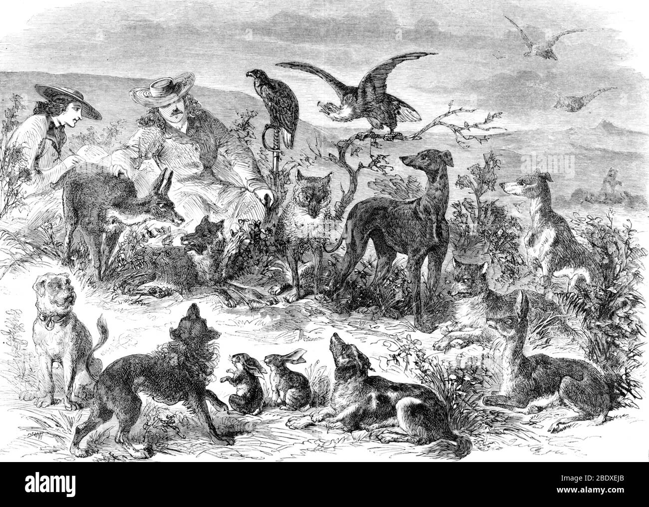 Red Cloud's War, 7th Cavalry Regiment Pets, 1867 Stock Photo