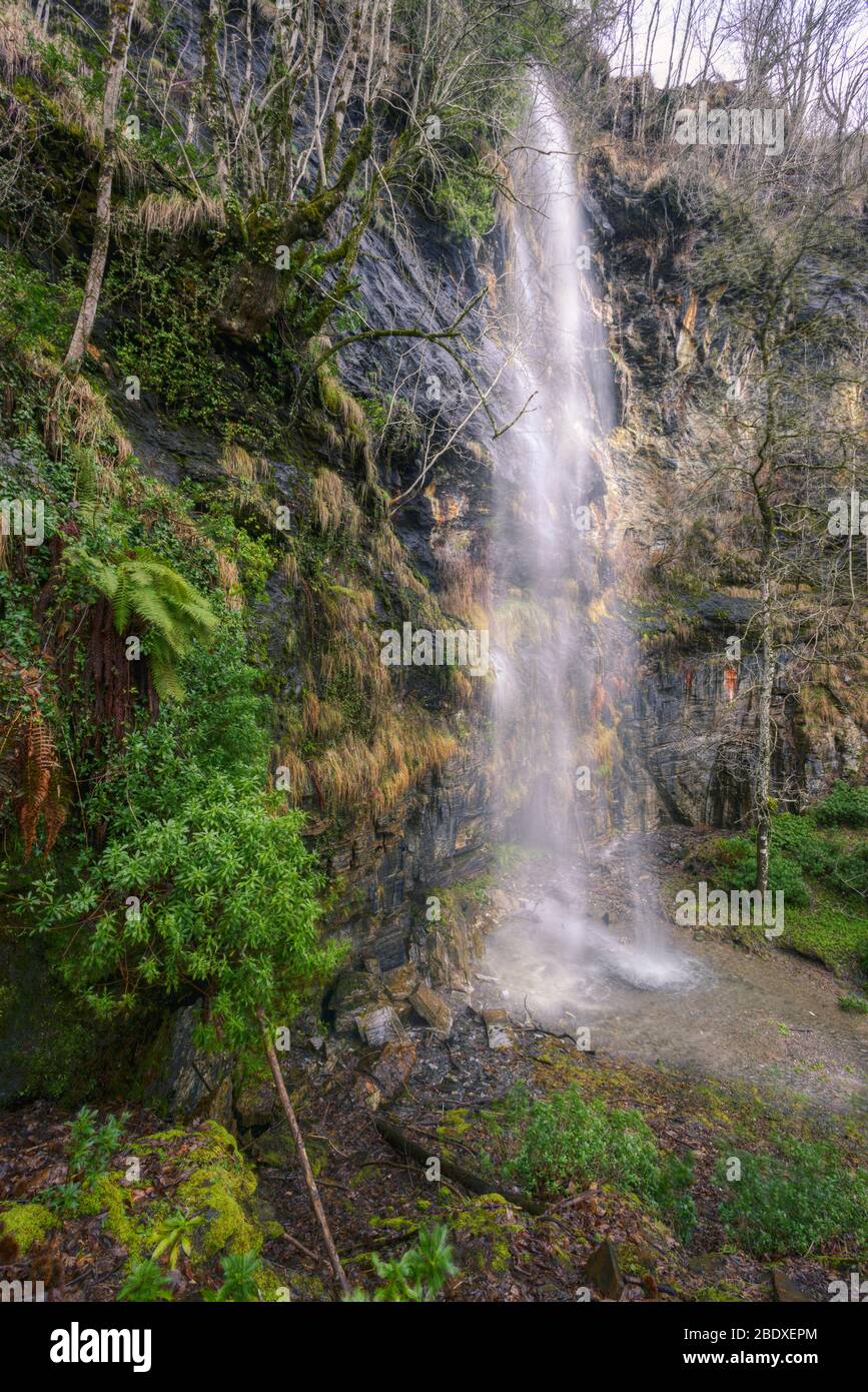 Vegetated Rocks Waterfall trickles down a vegetated limestone rock wall at Courel ...