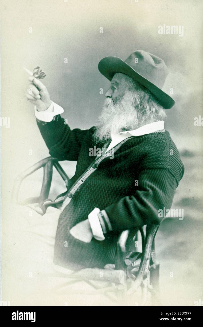 Walt Whitman, American Poet Stock Photo