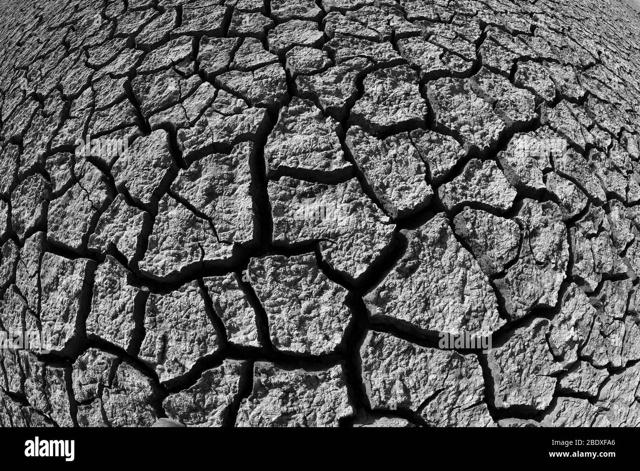 The image of Cracked Desert soil in Little Rann of Kutch in Gujarat, India, asia Stock Photo