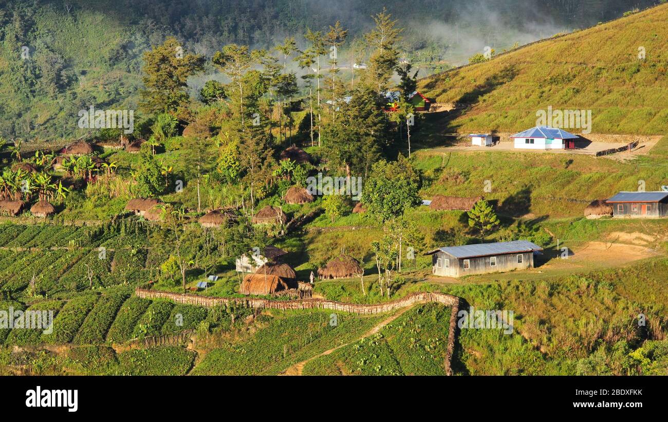 Papuan village in the Baliem Valley, West Papua, Indonesia Stock Photo