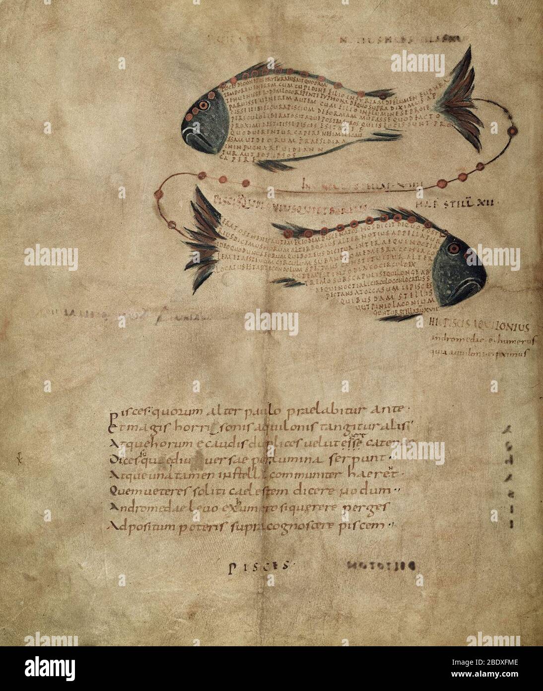 Aratea, Pisces Constellation, 9th Century Stock Photo