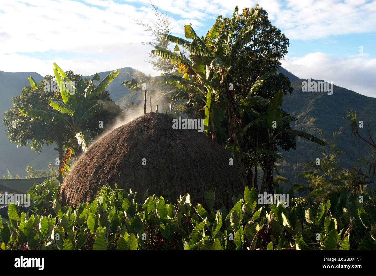 Smoke over papuan straw hut (Honai) in the morning, Baliem Valley, West Papua, Indonesia Stock Photo