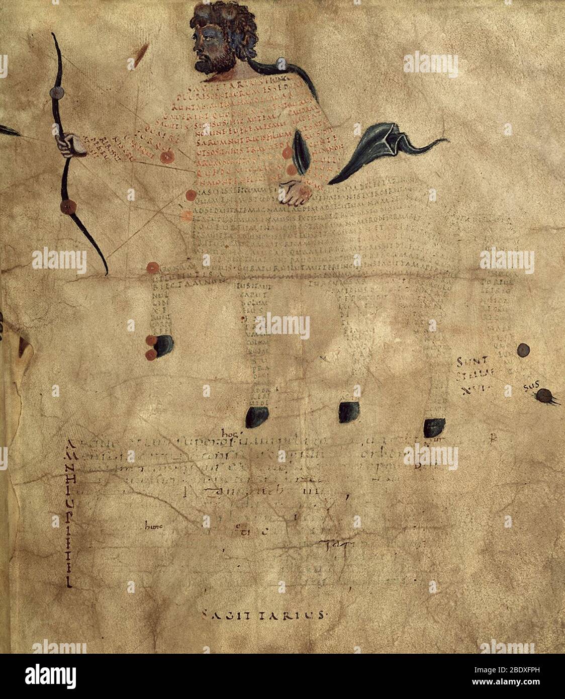 Aratea, Sagittarius Constellation, 9th Century Stock Photo
