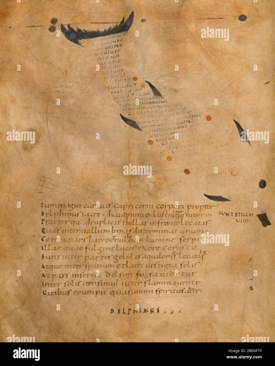 Aratea, Delphinus Constellation, 9th Century Stock Photo