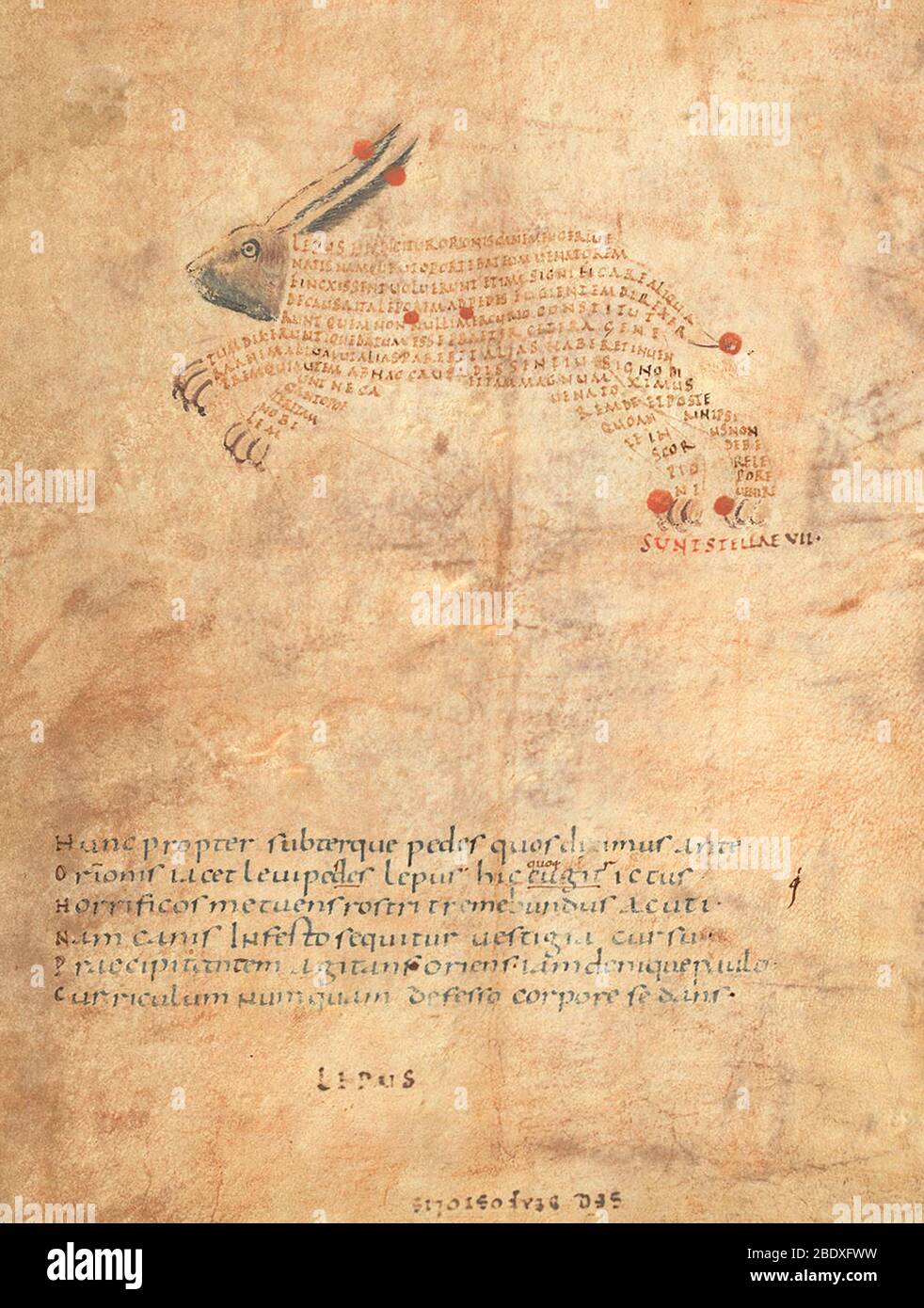 Aratea, Lepus Constellation, 9th Century Stock Photo