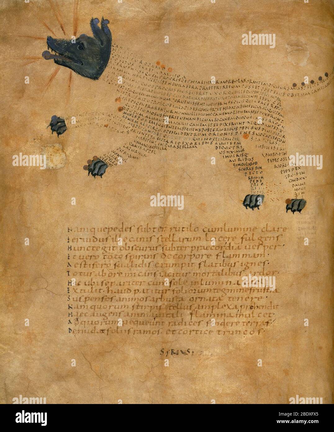 Aratea, Sirius Constellation, 9th Century Stock Photo