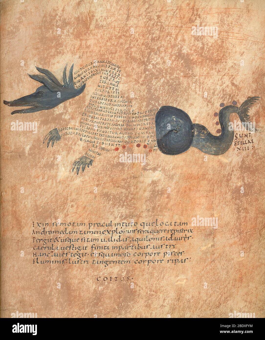 Aratea, Cetus Constellation,  9th Century Stock Photo