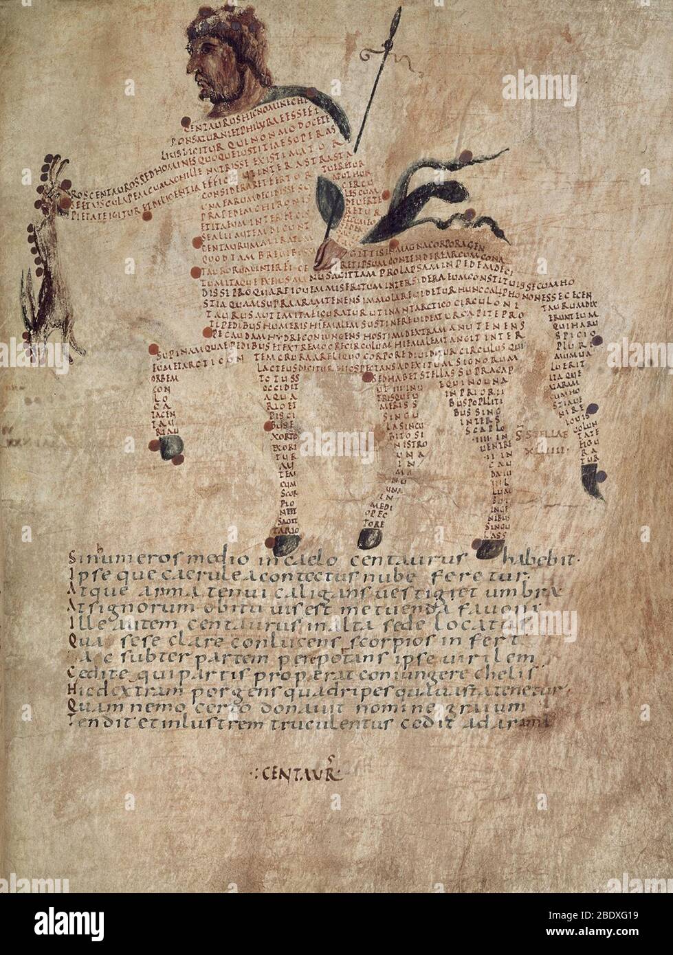 Aratea, Centaurus Constellation, 9th Century Stock Photo