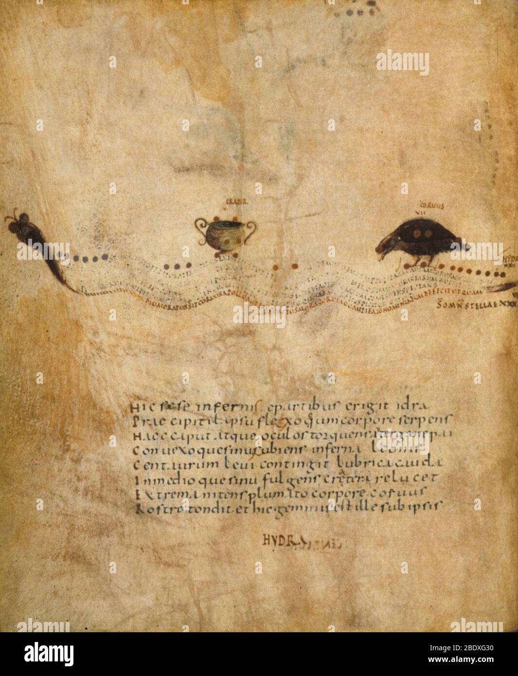 Aratea, Hydra Constellation, 9th Century Stock Photo